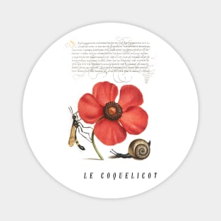 Vintage Poppy Flower Illustration Magnet